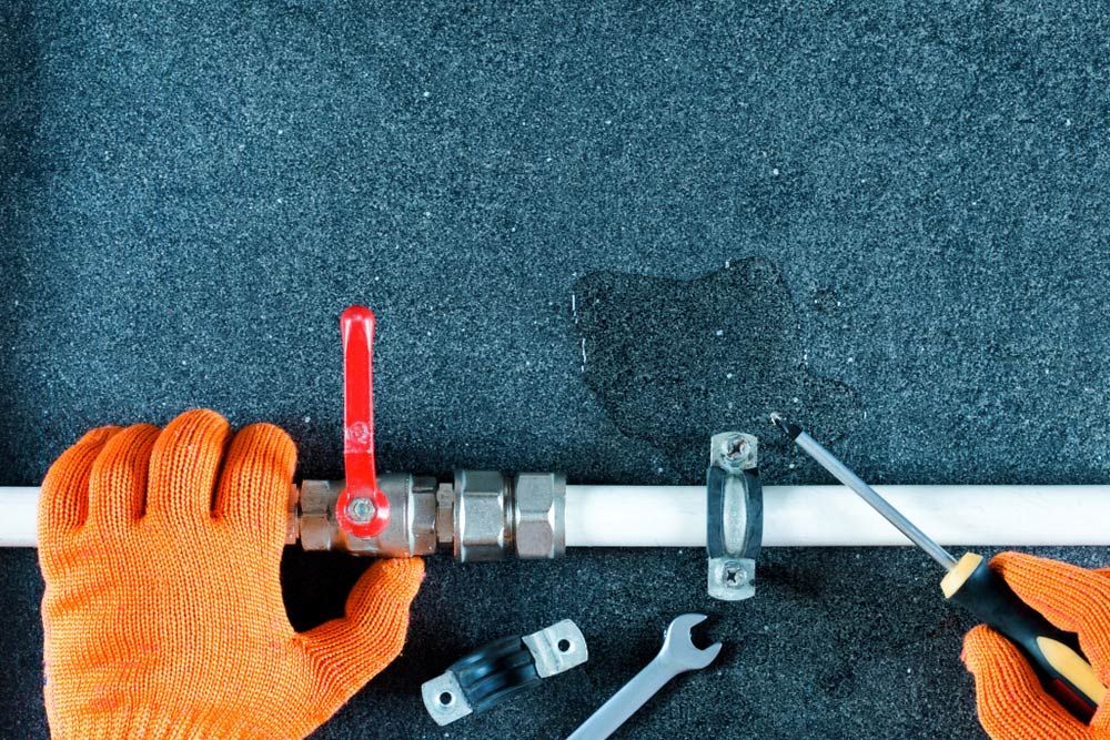Why Regular Plumbing Maintenance Saves You Money In The Long Run